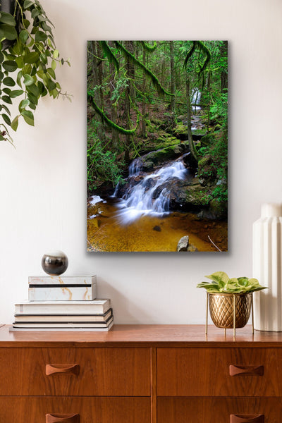 Vertical Clack Creek Canvas Wall Art hangs in a living room. Photography by Shel Neufeld, from Roberts Creek, BC, Canada. 