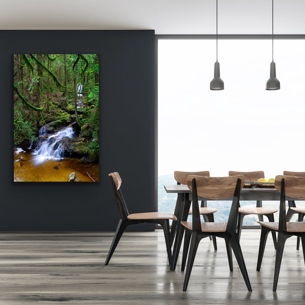 Vertical forest canvas home decor hangs in a living room. Photography by Shel Neufeld, Canadian landscape and nature photographer.