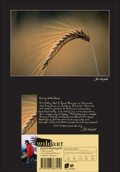 Single Grain Nature Photography Blank Greeting Card by Shel Neufeld, West Coast Photographer. 