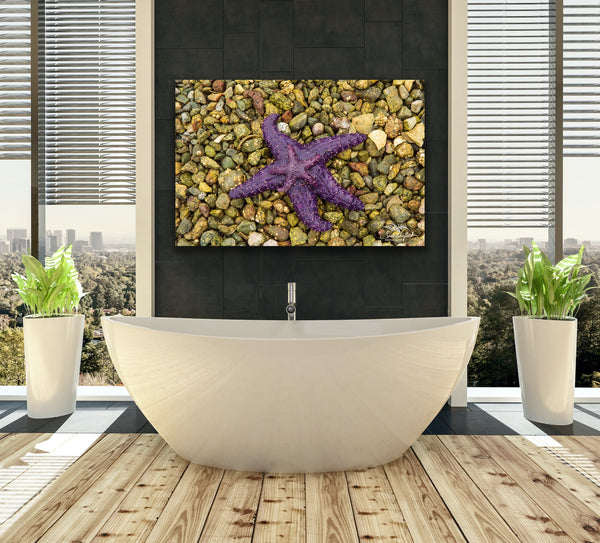 Purple starfish mama and baby lay on a rocky beach. Photography Canvas hangs in a bathroom above a large white soaker tub. Photography by Shel Neufeld, Canadian landscape and nature photographer. 