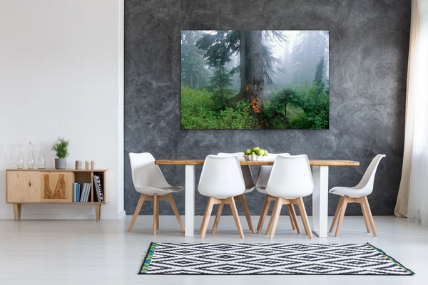 Pacific Northwest Forest Foggy Tree Photography Dining  Room Wall Art Print - Original work by Shel Neufeld, Canadian Nature photographer
