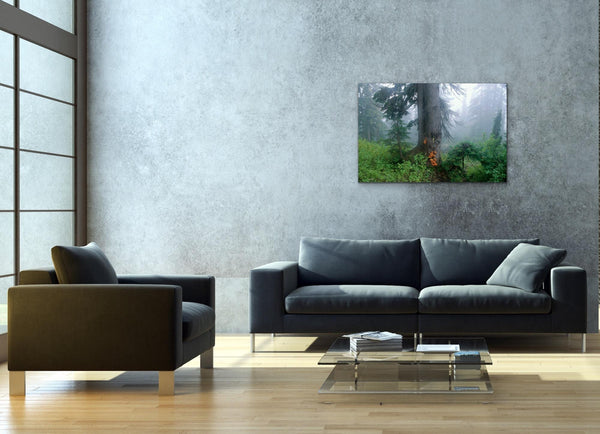 Pacific Northwest Forest Foggy Tree Photography Living Room Wall Art Print - Original work by Shel Neufeld, Canadian Nature photographer