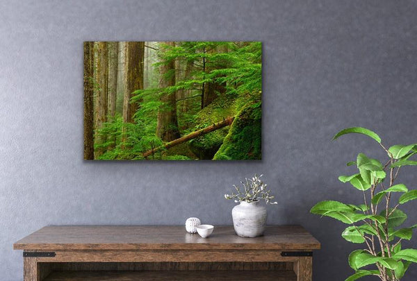 Princess Louisa Inlet Forest Green Home Decor Nature Photography Fine Art Print by Shel Neufeld, Canadian photographer