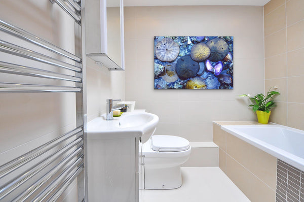 Sand Dollar Photography Canvas hangs on a wall in a bathroom. Photography by Shel Neufeld, Canadian landscape and nature photographer. 