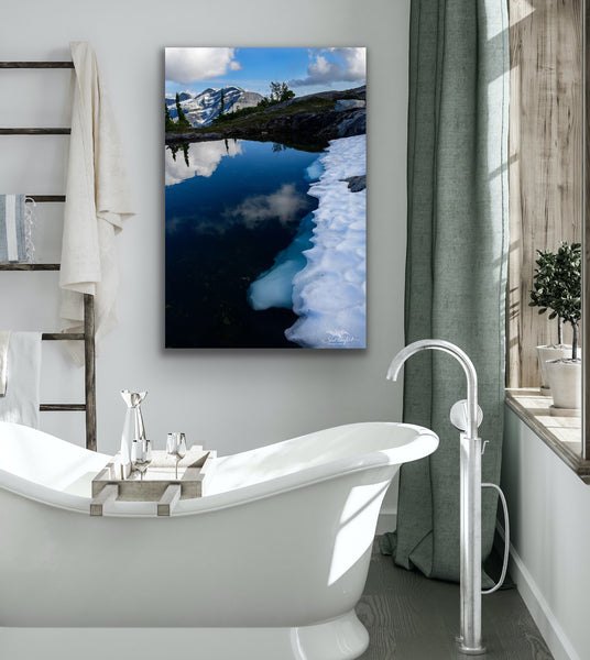 Vertical nature canvas hangs in a bathroom. Artwork by Shel Neufeld, Canadian landscape and nature photographer. 