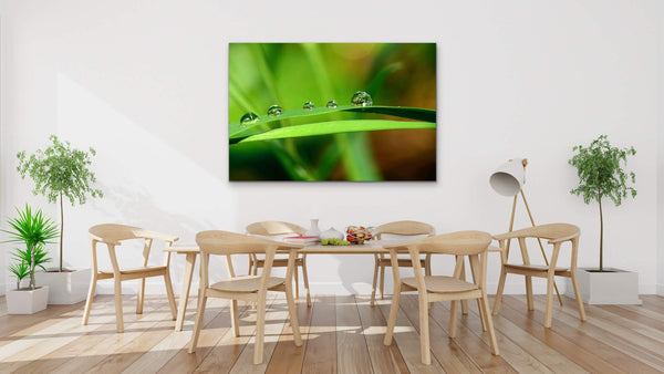 Water drops on green leaf, Fine Art Photography Print living room wall decor by Shel Neufeld, Canadian Landscape Photographer